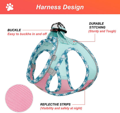 Dog Harness Small Sized and Leash Set, No Pull Soft Mesh Puppy Vest, Reflective Breathable Lightweight Pet Harness, Harness for Small Medium Dogs and Cats - Pink Green, XS