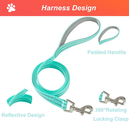 Dog Harness Small Sized and Leash Set, No Pull Soft Mesh Puppy Vest, Reflective Breathable Lightweight Pet Harness, Harness for Small Medium Dogs and Cats - Pink Green, XS