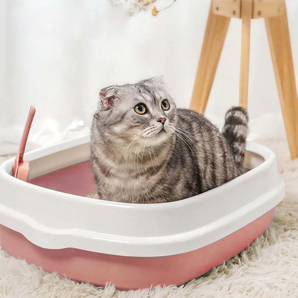 Kitten Starter Kit - 16 Pcs Cat Essentials Set Includes Litter Box