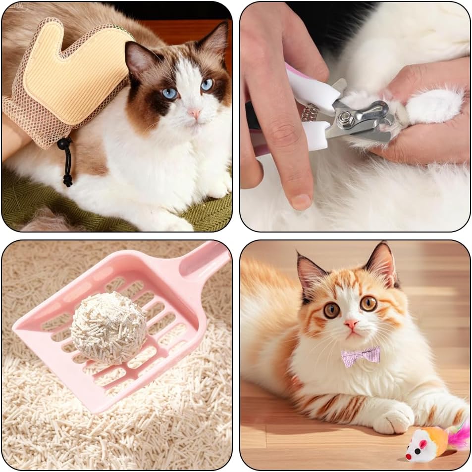 Kitten Starter Kit - 16 Pcs Cat Essentials Set Includes Litter Box