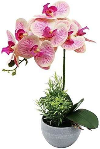 Artificial Orchid Flower in Grey Pot, 16 inch Faux Pink Orchid Real Touch Fake Phalaenopsis Bonsai for Office Home Wedding Party Indoor Decor (Pink 1)