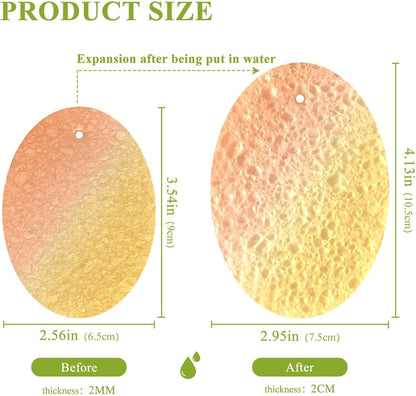 Peach Orange Yellow Gradient Kitchen Sponges Cleaning Dish Sponges Non-Scratch Natural Scrubber Sponge for Kitchen Bathroom Cars Pack of 3