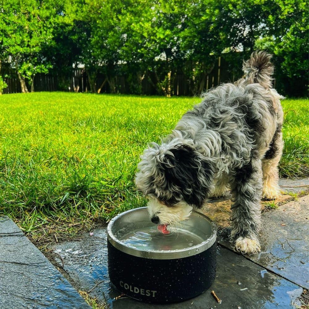 Dog Bowl - Anti Rust Metal, Non Slip, 3 Layers Insulated Stainless Steel Dog Bowls - Spill Proof & Heavy Duty - Water Bowl for Dogs, Cats & Pets, Dish Washer Safe (42 oz,Cotton Candy Pink)