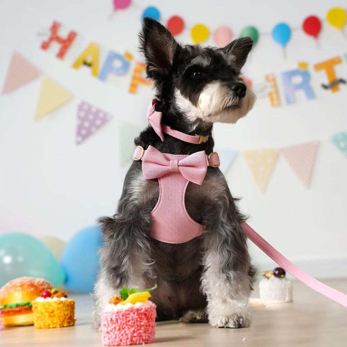 Cute Small Dog Harness Collar and Leash Set, Pink,XS,Chest 13-28"