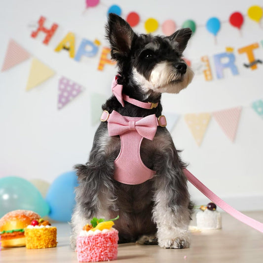 Cute Small Dog Harness Collar and Leash Set, Pink,XS,Chest 13-28"