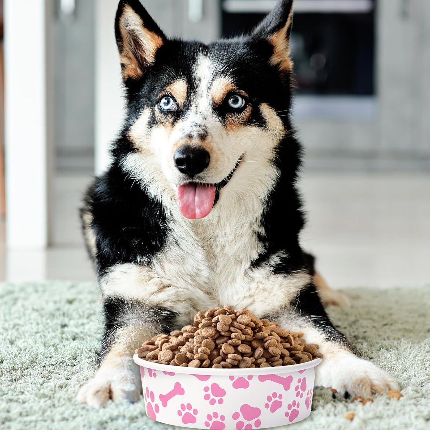 Whaline 50Pcs Pet Disposable Feeding Bowls Pink White Paper Dog Bowls Small Dog Dish 16 Oz 2 Cup Pet Serving Food Tray for Puppy Cat Travel Wet Dry Food Water