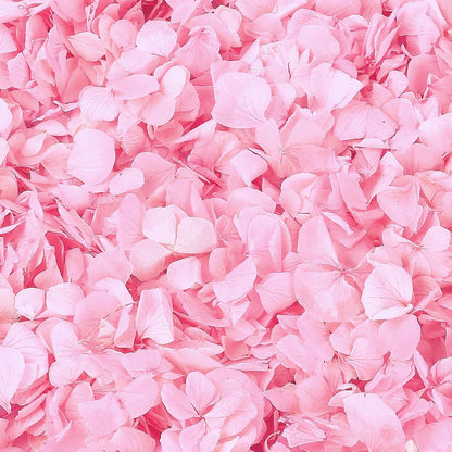 1500+ Real Dried Pink Hydrangea Petals Real Pink Flower Petals