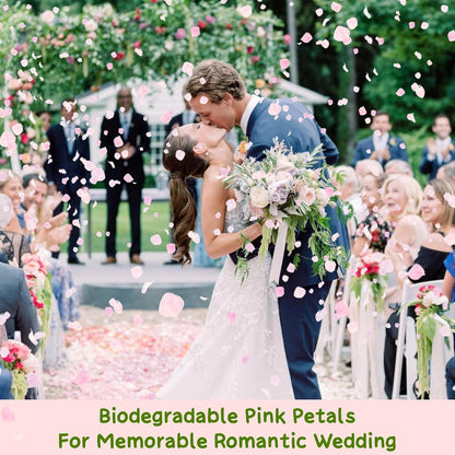 1500+ Real Dried Pink Hydrangea Petals Real Pink Flower Petals