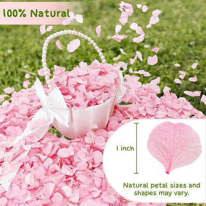 1500+ Real Dried Pink Hydrangea Petals Real Pink Flower Petals