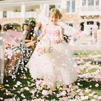 1500+ Real Dried Pink Hydrangea Petals Real Pink Flower Petals
