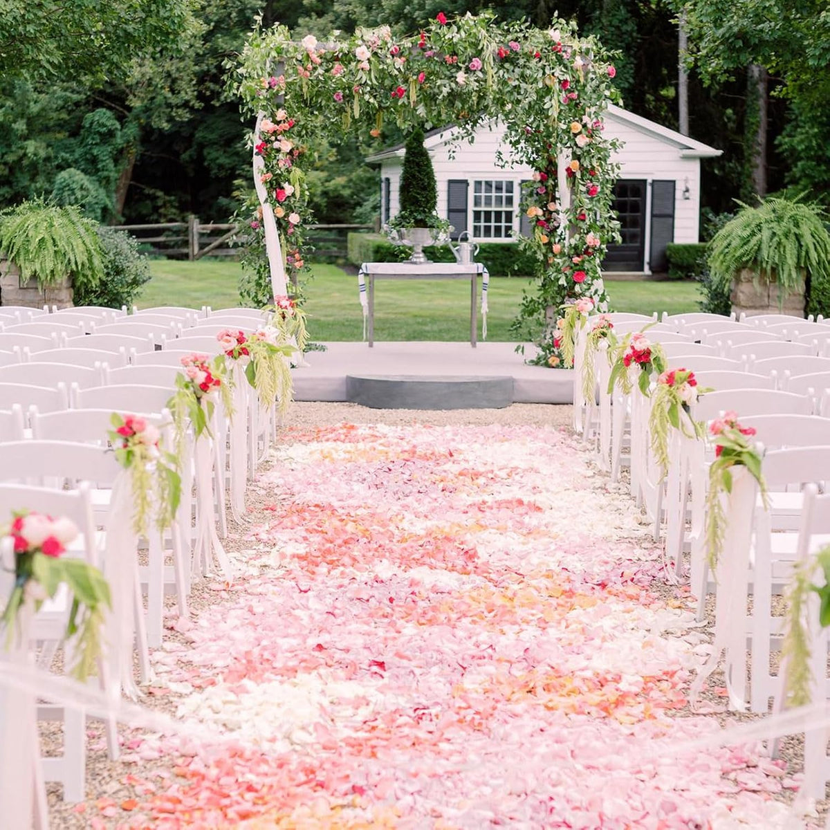 1500+ Real Dried Pink Hydrangea Petals Real Pink Flower Petals