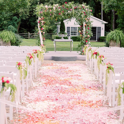 1500+ Real Dried Pink Hydrangea Petals Real Pink Flower Petals