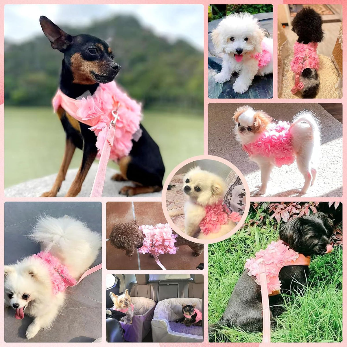Cute Small Dog Harness and Leash Set Pink Lace Floral Girl Puppy Harness for Small Dogs Cats Soft Mesh Dog Vest Harness Escape Proof Pet Cat Harness Outfits