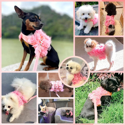 Cute Small Dog Harness and Leash Set Pink Lace Floral Girl Puppy Harness for Small Dogs Cats Soft Mesh Dog Vest Harness Escape Proof Pet Cat Harness Outfits