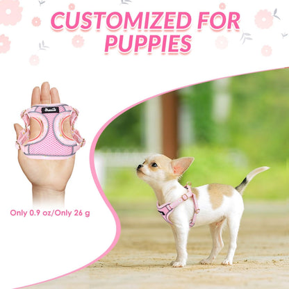 Small Dog Harness and Leash Set, No Pull & Lightweight, Pink, XXS