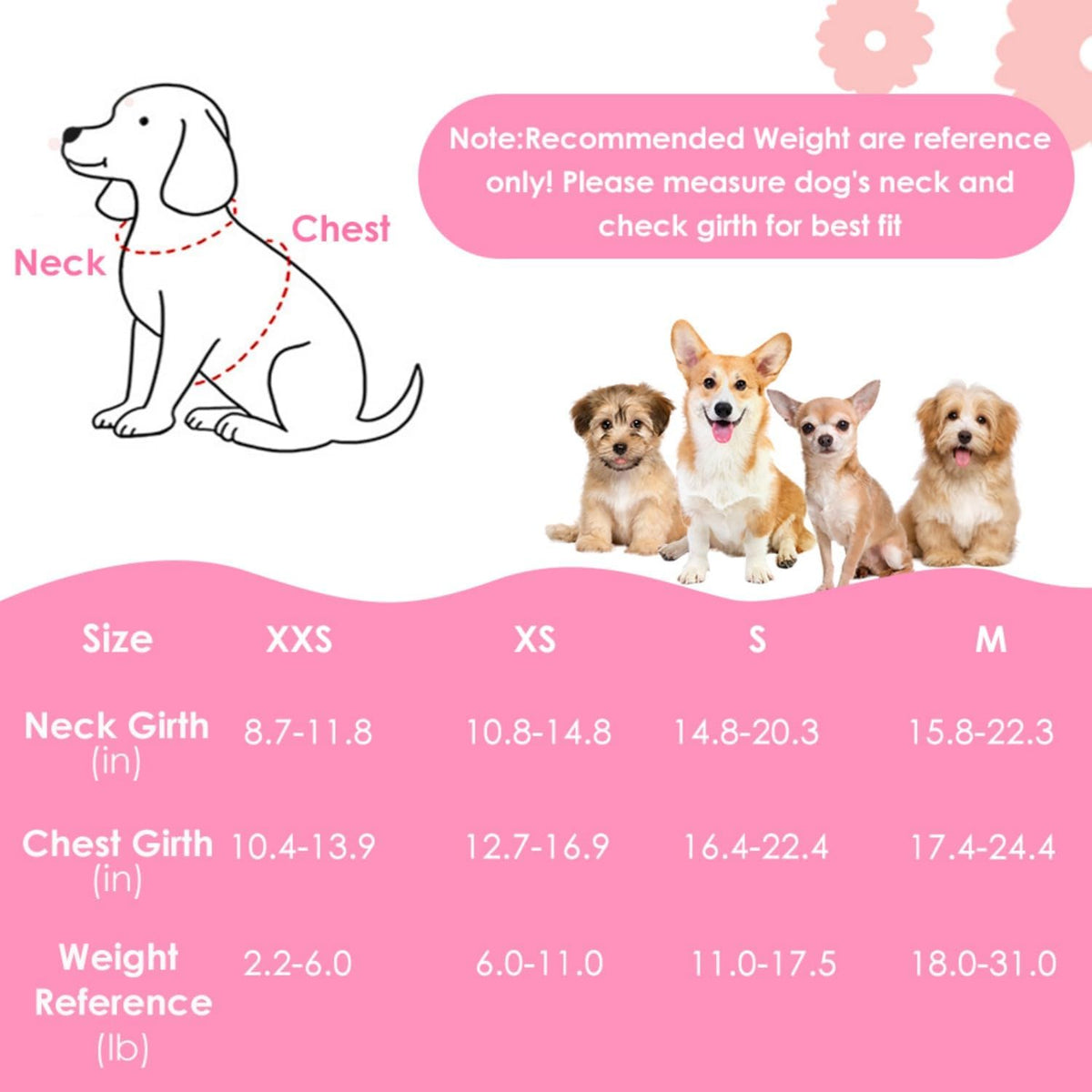 Small Dog Harness and Leash Set, No Pull & Lightweight, Pink, XXS