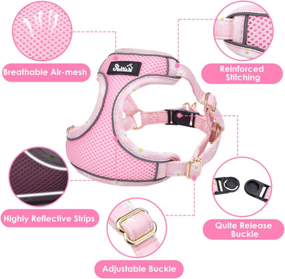 Small Dog Harness and Leash Set, No Pull & Lightweight, Pink, XXS