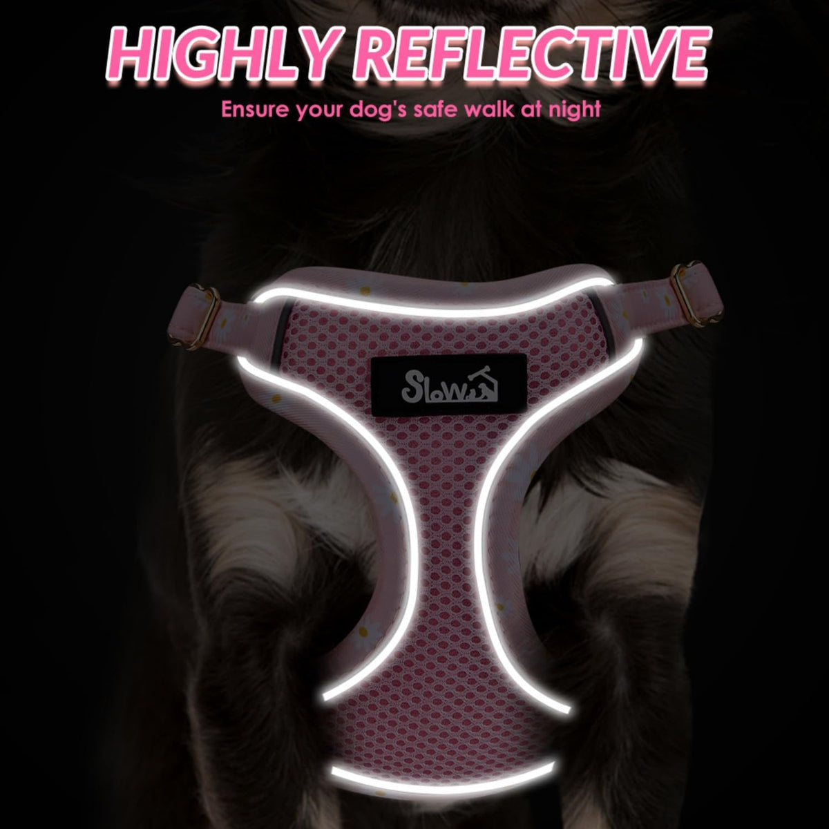 Small Dog Harness and Leash Set, No Pull & Lightweight, Pink, XXS