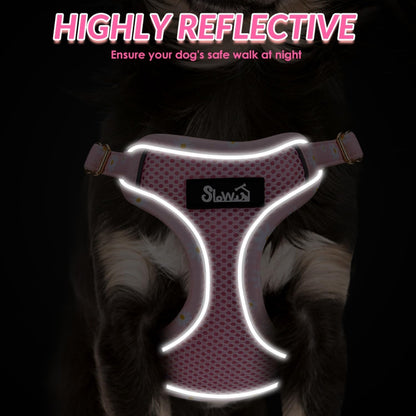 Small Dog Harness and Leash Set, No Pull & Lightweight, Pink, XXS