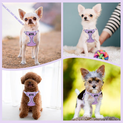 Small Dog Harness and Leash Set, No Pull & Lightweight, Pink, XXS