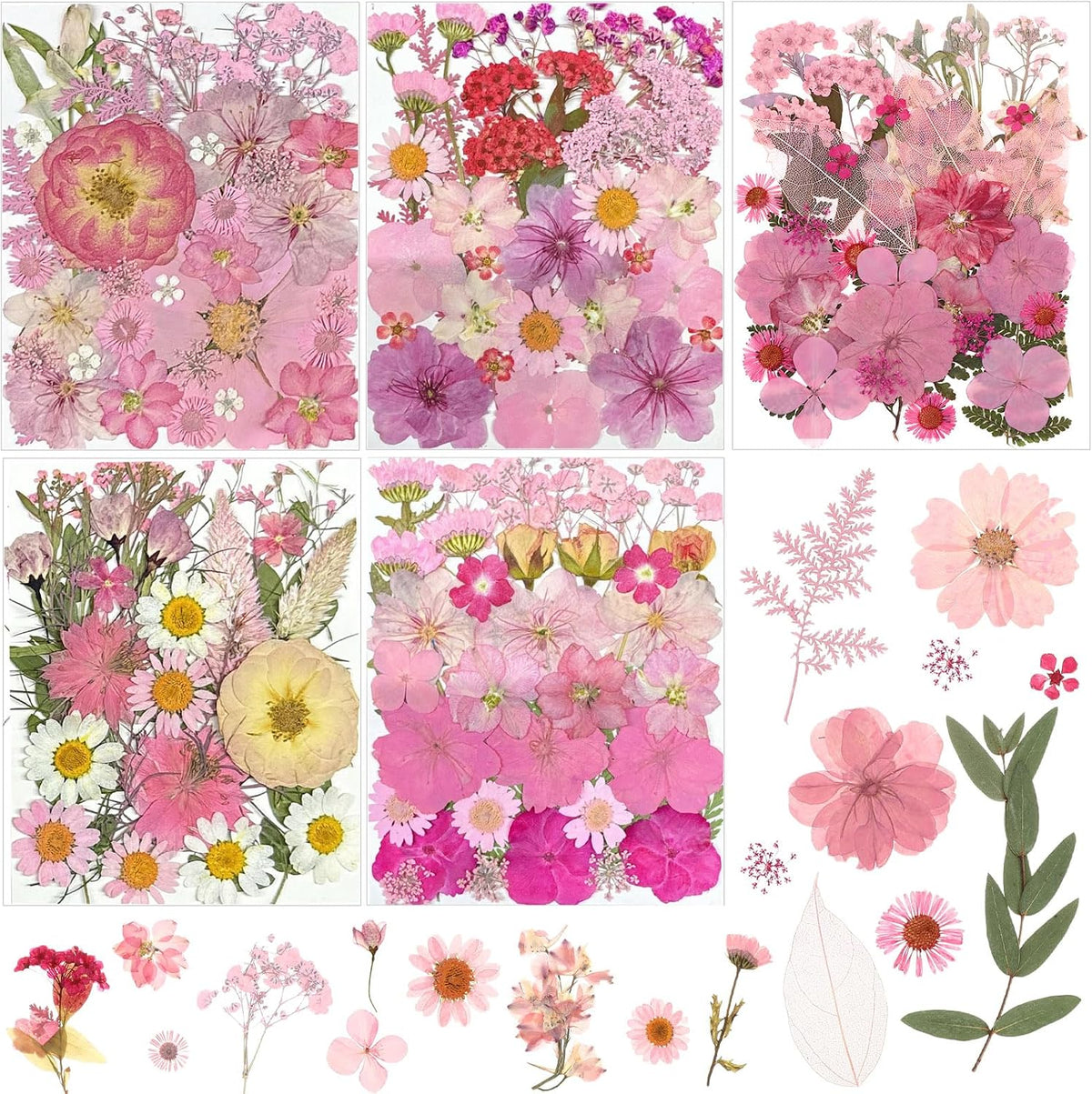 167 Pcs Pressed Dried Flowers for Resin, Pink, Candy Style