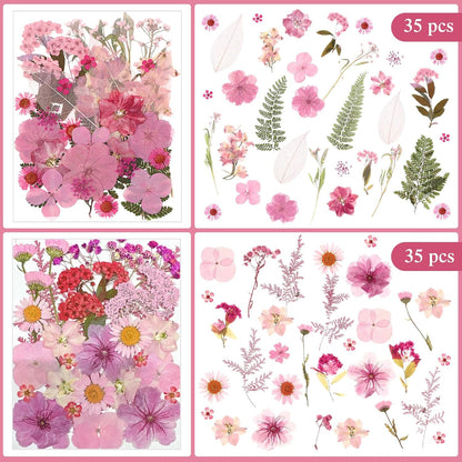 167 Pcs Pressed Dried Flowers for Resin, Pink, Candy Style