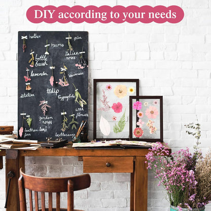 167 Pcs Pressed Dried Flowers for Resin, Pink, Candy Style