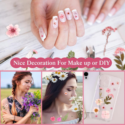 167 Pcs Pressed Dried Flowers for Resin, Pink, Candy Style