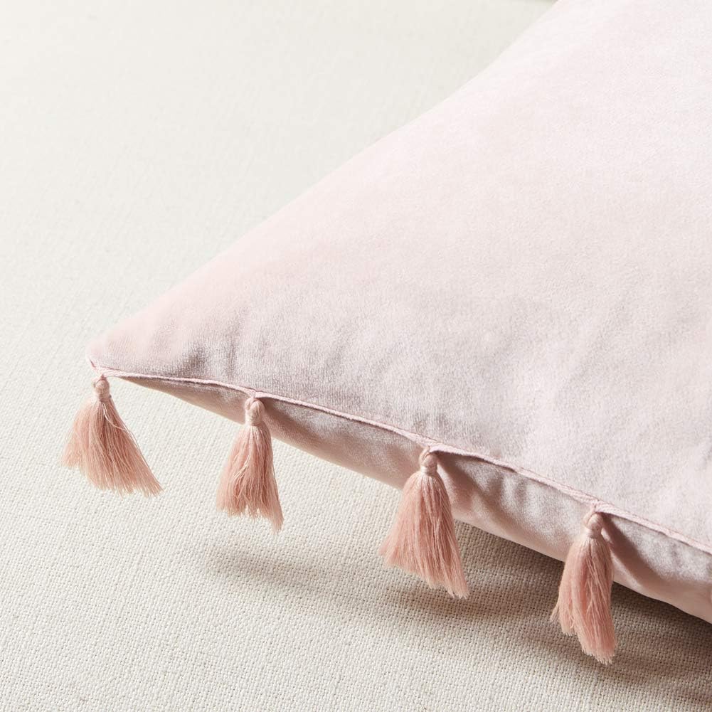 Pack of 2 Cute Decorative Throw Pillow Covers with Handmade Tassels, Soft Velvet Peach Solid Square Cushion Case Set for Couch Sofa Bedroom Car Living Room (18x18 Inch/45x45 cm, Blush Pink)