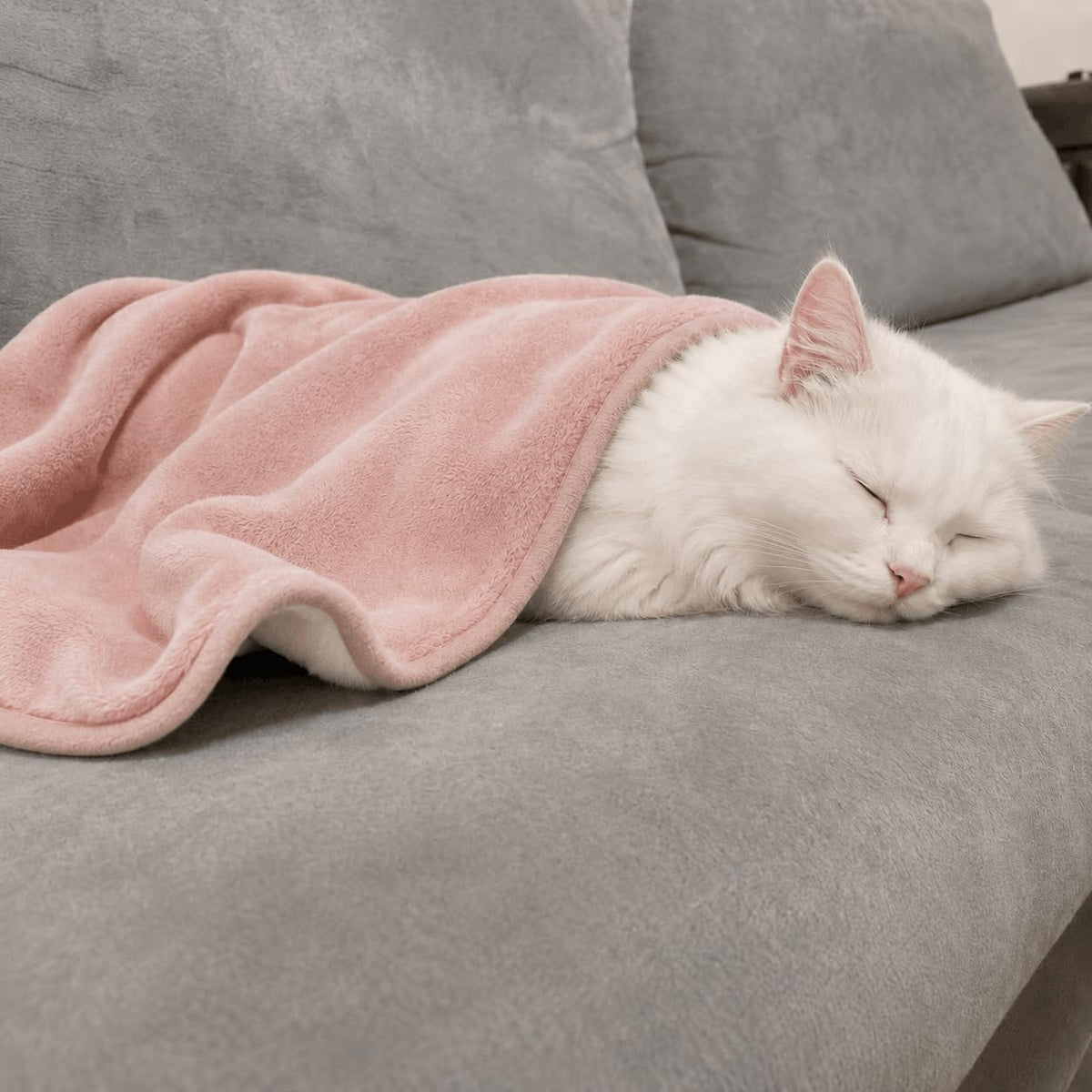 Cat Blankets for Indoor Cats, Washable Fleece Sherpa Pet Throw (Pink)