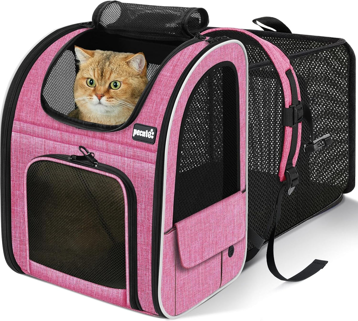 Cat Backpack Extendable, Cat Carrier Backpack with Breathable Window