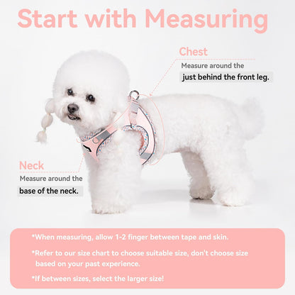 Petank Step in Dog Harness No Pull and Leash for Small Medium Dogs Cats.