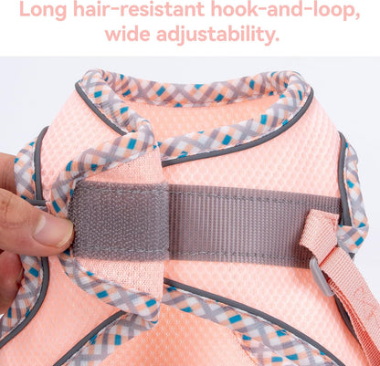 Petank Step in Dog Harness No Pull and Leash for Small Medium Dogs Cats.