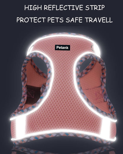 Petank Step in Dog Harness No Pull and Leash for Small Medium Dogs Cats.