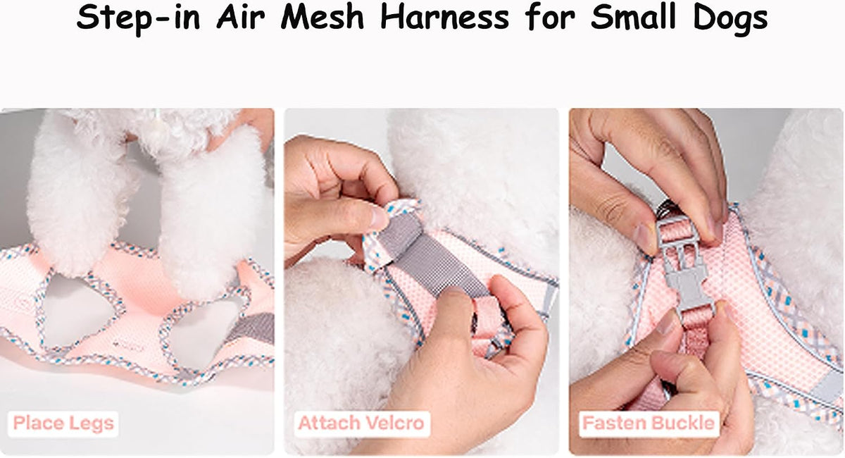 Petank Step in Dog Harness No Pull and Leash for Small Medium Dogs Cats.