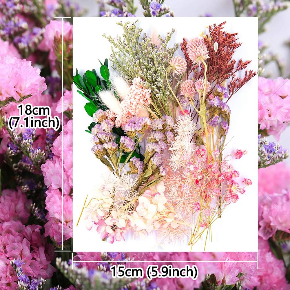 Real Dried Pressed Leaf Flowers-Multiple Colorful Pressed Flowers Daisies for Craft Resin Jewelry Making Art Craft DIY and Soap Candle Scrapbooking DIY Resin（Light Pink）