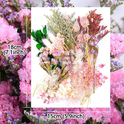 Real Dried Pressed Leaf Flowers-Multiple Colorful Pressed Flowers Daisies for Craft Resin Jewelry Making Art Craft DIY and Soap Candle Scrapbooking DIY Resin（Light Pink）