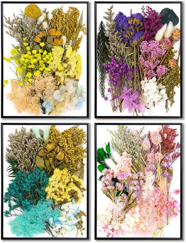 Real Dried Pressed Leaf Flowers-Multiple Colorful Pressed Flowers Daisies for Craft Resin Jewelry Making Art Craft DIY and Soap Candle Scrapbooking DIY Resin（Light Pink）