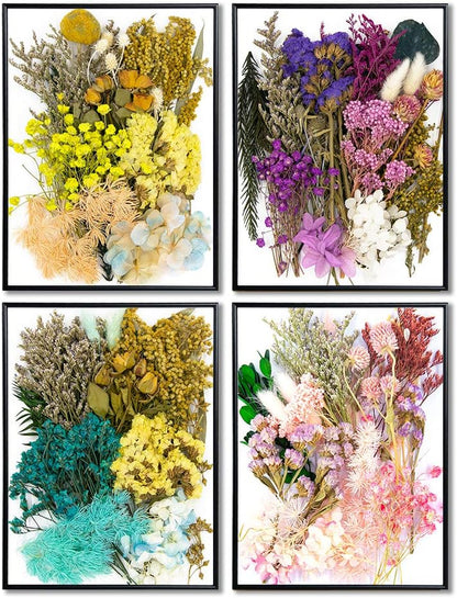 Real Dried Pressed Leaf Flowers-Multiple Colorful Pressed Flowers Daisies for Craft Resin Jewelry Making Art Craft DIY and Soap Candle Scrapbooking DIY Resin（Light Pink）