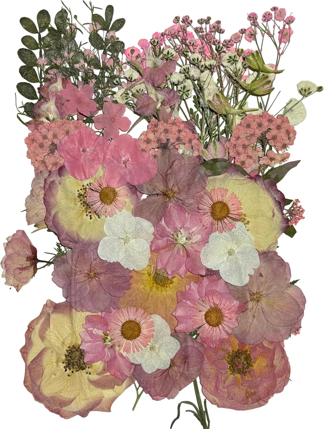 Pink Dried Pressed Natural Flowers for Resin Candle Soap Card DIY Decor