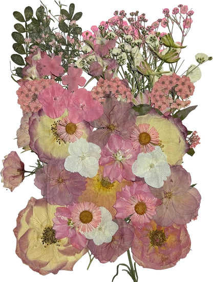 Pink Dried Pressed Natural Flowers for Resin Candle Soap Card DIY Decor