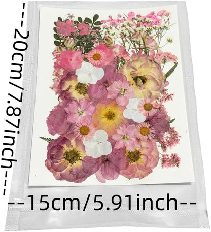 Pink Dried Pressed Natural Flowers for Resin Candle Soap Card DIY Decor