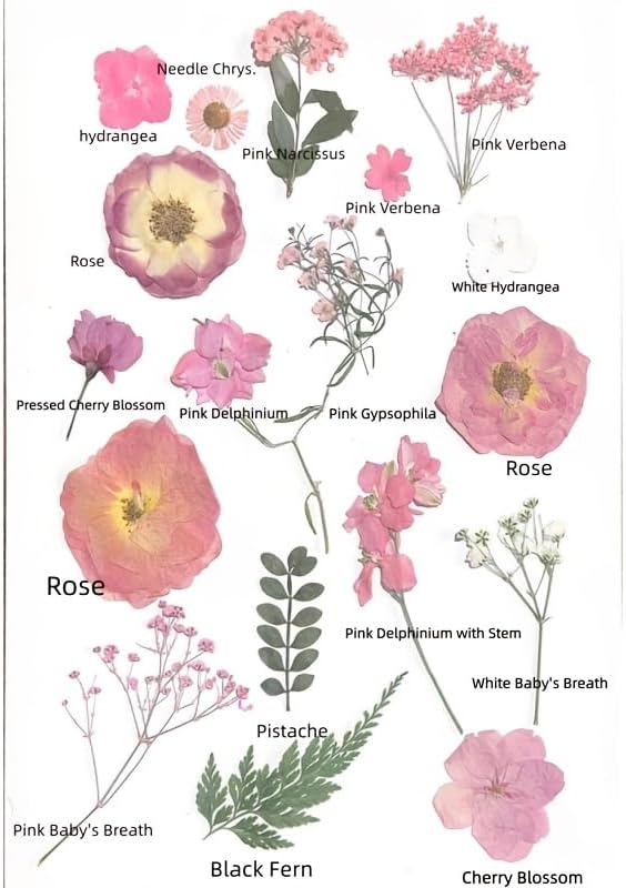 Pink Dried Pressed Natural Flowers for Resin Candle Soap Card DIY Decor