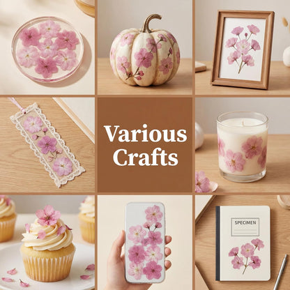 Pink Dried Pressed Natural Flowers for Resin Candle Soap Card DIY Decor