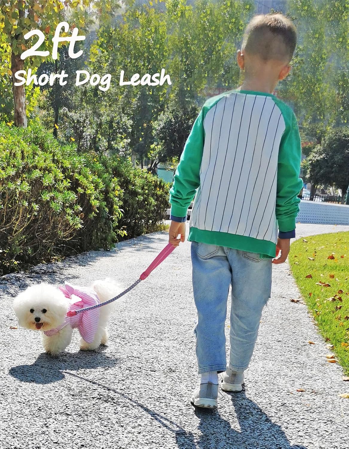 Reflective Dog Leash 2/3/4/6/10ft Braided 1/2" Strong Nylon Rope