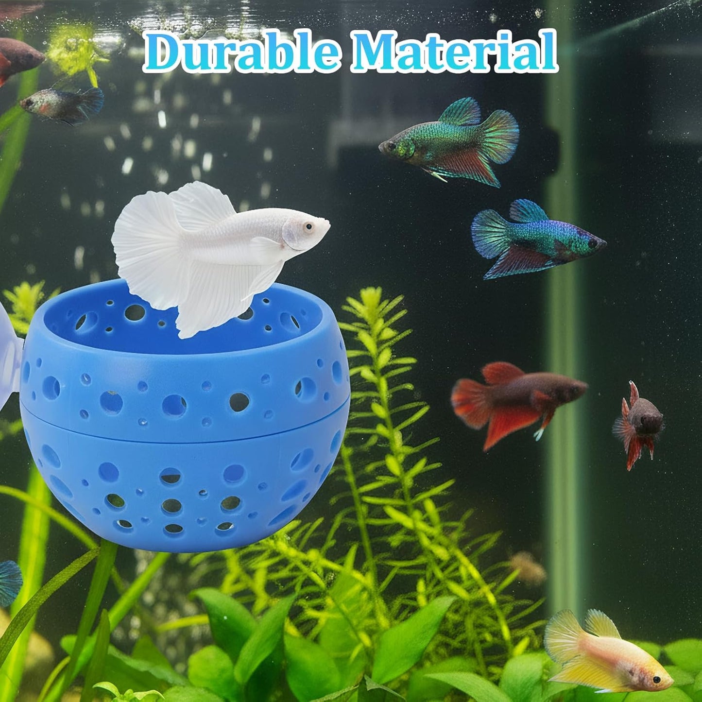 2 Pack Betta Tunnel, Betta Fish Tank Accessories with Suction Cup, Hollow Design for Easy Cleaning, Betta Hammock Provides a Safe Hiding Provides Betta Fish, Guppiesand Shrimp