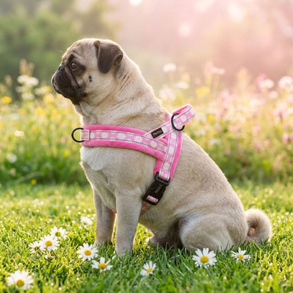 No Pull Dog Harness for Small Medium Dogs, Floral Print, Pink, S
