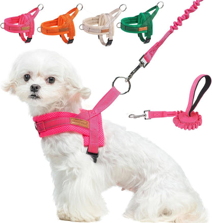 Small Dog Harness and Leash Set, No Pull Step in Puppy Vest