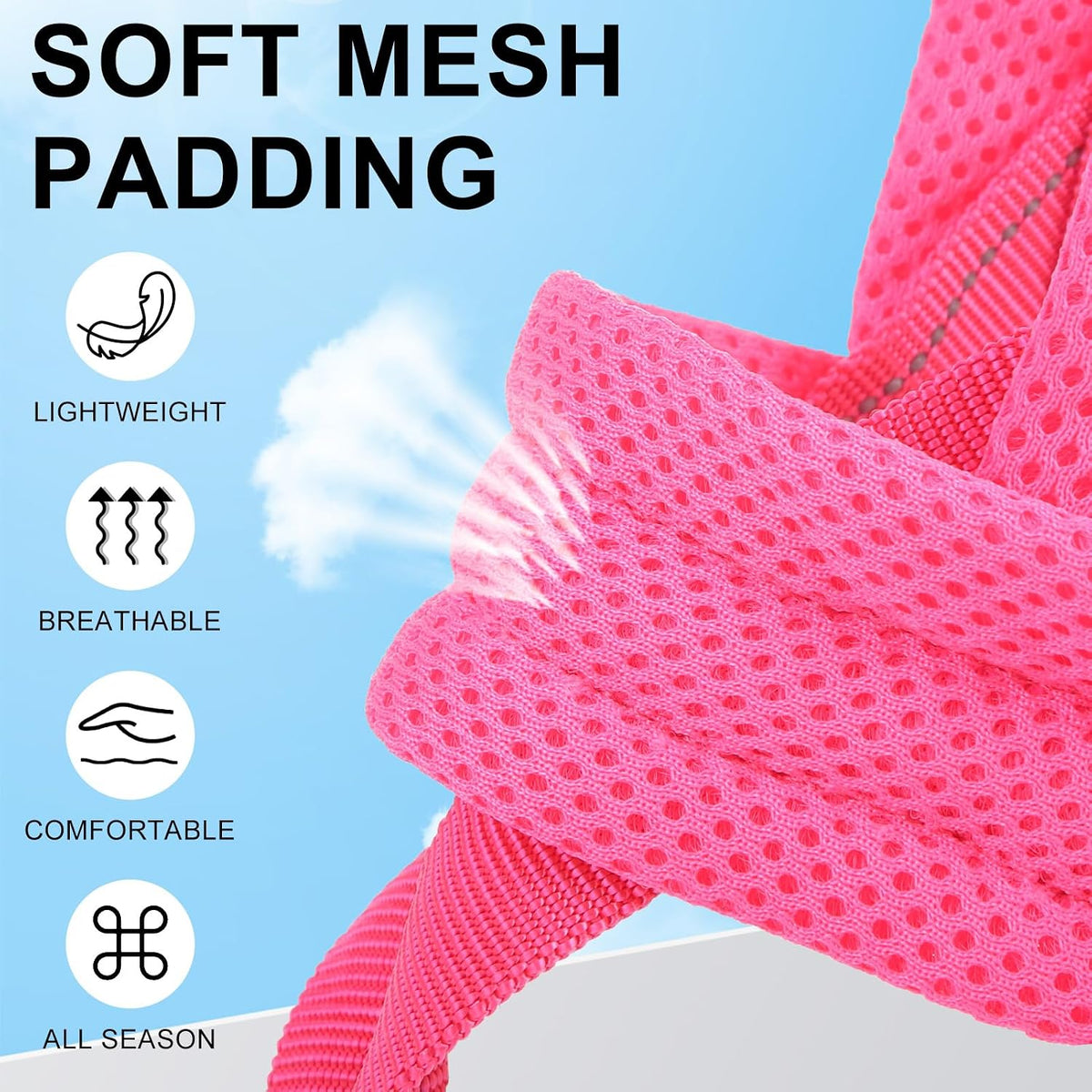 Small Dog Harness and Leash Set, No Pull Step in Puppy Vest