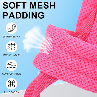 Small Dog Harness and Leash Set, No Pull Step in Puppy Vest